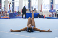 Всероссийские соревнования по спортивной гимнастике, Фото: 76