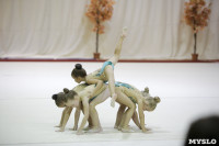 Соревнования по художественной гимнастике "Осенний вальс", Фото: 127