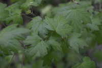 , Фото: 1