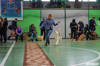 Выставка собак в Туле , Фото: 84