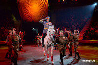 День Победы в Тульском цирке: большой концерт и патриотический спектакль, Фото: 154