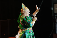 «Народный» концерт Надежды Кадышевой, Фото: 40