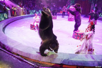 Шоу Гии Эрадзе «5 континентов» в Тульском цирке: феерия уже началась!, Фото: 47
