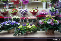 Ассортимент тульских цветочных магазинов. 28.02.2015, Фото: 2