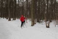 Туляки приняли участие в «Лыжном туре», Фото: 2