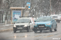 Мартовский снег в Туле, Фото: 48