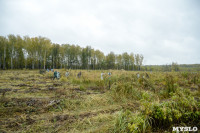 В Веневском районе высажено 24 тысячи сосен, Фото: 16