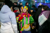 Открытие новогодней ёлки на площади Ленина, Фото: 15