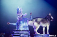 Шоу фонтанов «13 месяцев»: успей увидеть уникальную программу в Тульском цирке, Фото: 135