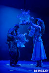 Шоу фонтанов «13 месяцев»: успей увидеть уникальную программу в Тульском цирке, Фото: 91