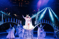 Новое грандиозное шоу Гии Эрадзе «Королевский цирк» стартует в Тульском цирке, Фото: 65