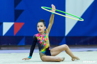 Тула провела крупный турнир по художественной гимнастике, Фото: 131