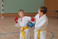 Каратэ, гимнастика и другой спорт для детей в Туле, Фото: 1