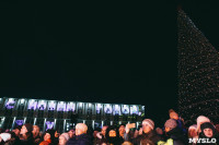 закрытие проекта Тула новогодняя столица России, Фото: 48