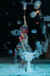 В Тульском цирке прошла премьера аква-шоу, Фото: 61