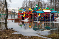 В Туле затопило Баташевский сад, Фото: 25