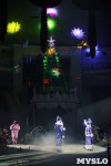 «Чудеса Новогодней Ёлки» ждут вас в Тульском цирке, Фото: 15