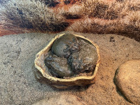 , Фото: 11
