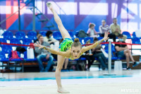 Тула провела крупный турнир по художественной гимнастике, Фото: 116