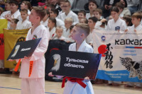 Более 1300 спортсменов в Туле борются за медали чемпионата и первенства России по фудокан карате, Фото: 2