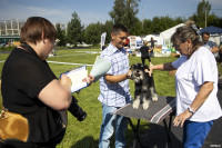 В Туле прошла выставка собак всех пород: фоторепортаж, Фото: 11