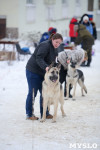 В Туле прошла Всероссийская выставка собак, Фото: 15