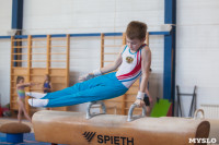 Мужская спортивная гимнастика в Туле, Фото: 7