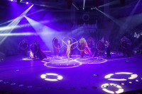 Премьера в Тульском цирке: шоу фонтанов «13 месяцев» удивит вас!, Фото: 36