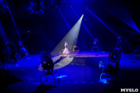 Шоу фонтанов «13 месяцев» в Тульском цирке – подарите себе и близким путевку в сказку!, Фото: 91