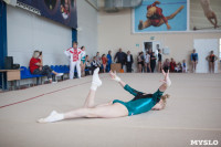 Первенство ЦФО по спортивной гимнастике среди юниорок, Фото: 18