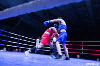 В Туле прошли финальные бои Всероссийского турнира по боксу, Фото: 112