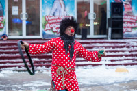 Новый год в Тульском цирке, Фото: 55