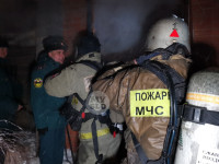 В Туле пожарные вынесли из горящего особняка больную женщину, Фото: 5