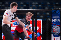 В «Тула-Арене» состоялись областные соревнования по ММА, Фото: 92