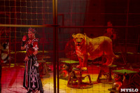 Премьера шоу Королевский цирк, Фото: 39