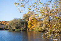Золотая осень в Ясной Поляне, Фото: 1