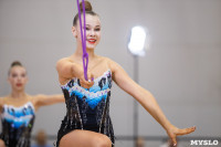 Соревнования по художественной гимнастике на призы благотворительного фонда «Земляки», Фото: 43