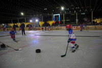 «Академия Михайлова» и Губернский каток 2025, Фото: 23