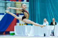 Тула провела крупный турнир по художественной гимнастике, Фото: 126