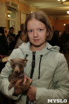 В Туле прошла Всероссийская выставка собак всех пород, Фото: 6
