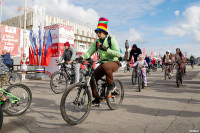 День города в Туле открыл велофестиваль, Фото: 23