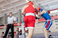 В Тульской области проходит областное первенство по боксу, Фото: 23