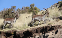 , Фото: 2