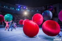 Туляков приглашают на новогоднее представление «Ёлка в цирке», Фото: 52