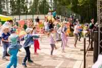 «Евраз Ванадий Тула» организовал большой праздник для детей в Пролетарском парке Тулы, Фото: 22