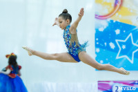 Тула провела крупный турнир по художественной гимнастике, Фото: 64