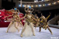 Грандиозное цирковое шоу «Песчаная сказка» впервые в Туле!, Фото: 26