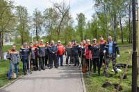 Сотрудники «ЕВРАЗ Ванадий» Тулы посадили деревья в Баташевском саду, Фото: 1