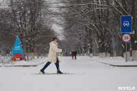 Центральный парк. 7 января 2016 года, Фото: 5