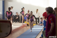 Первенство ЦФО по спортивной гимнастике среди  юниоров, Фото: 89